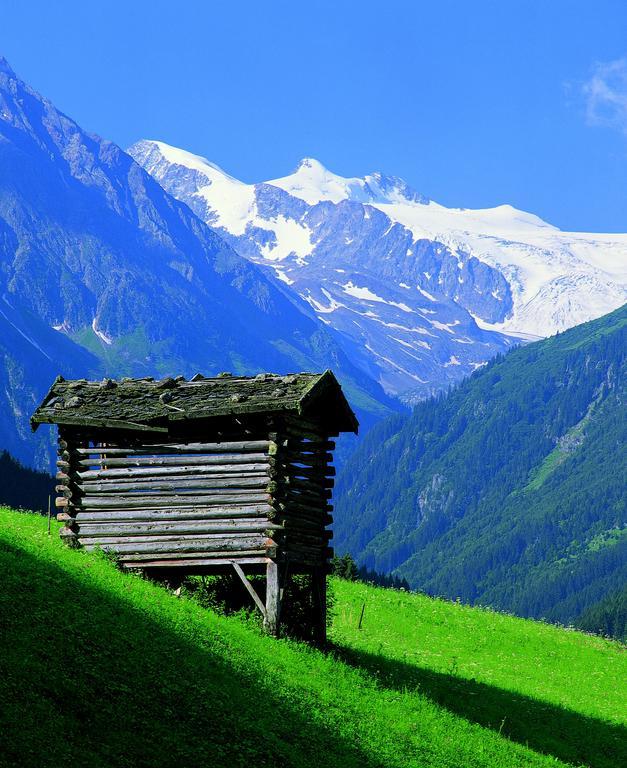 Haus Egger Apartment Neustift im Stubaital Luaran gambar
