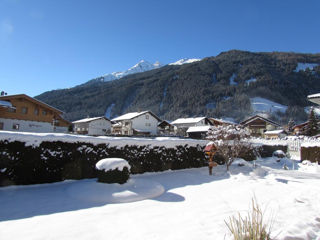 Haus Egger Apartment Neustift im Stubaital Luaran gambar