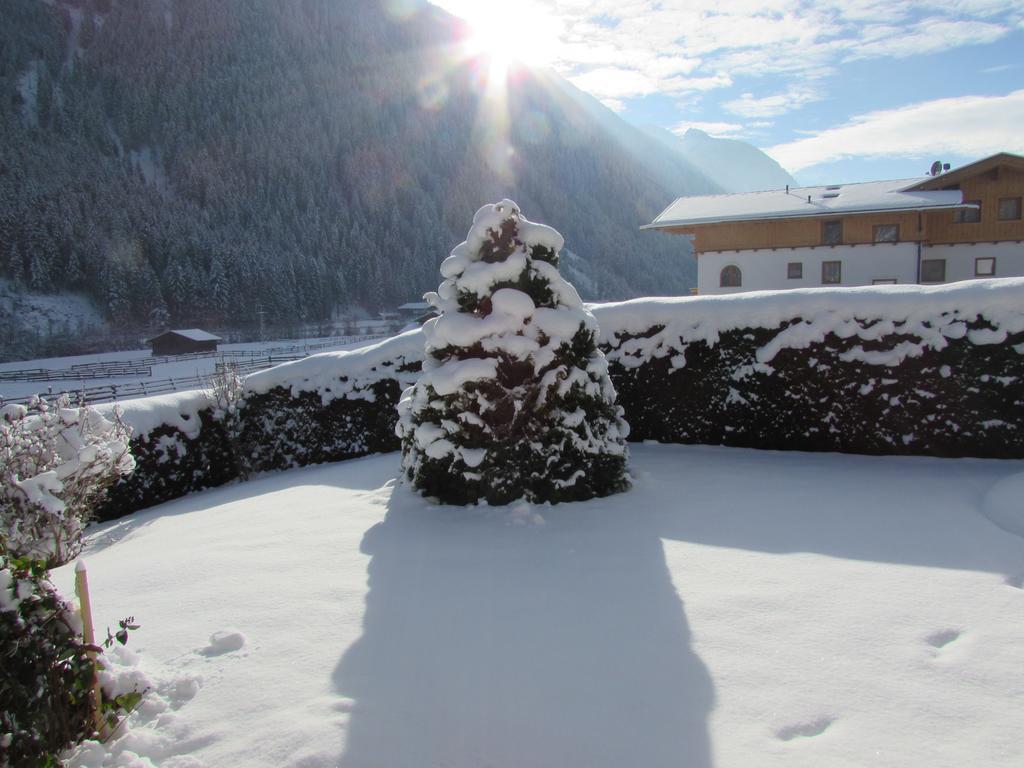 Haus Egger Apartment Neustift im Stubaital Luaran gambar